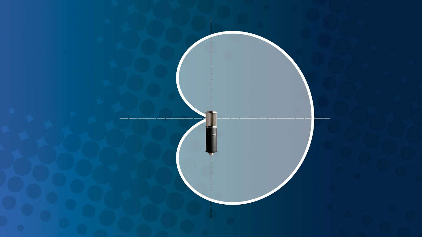 Диаграмма направленности микрофона: что это такое и какой она бывает
