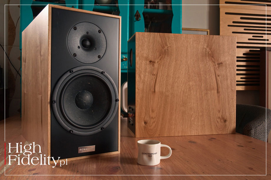 Тест Penaudio Rebel Two Luumäki / highfidelity.pl