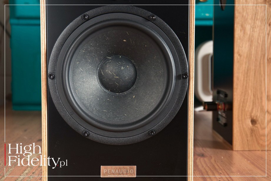 Тест Penaudio Rebel Two Luumäki / highfidelity.pl