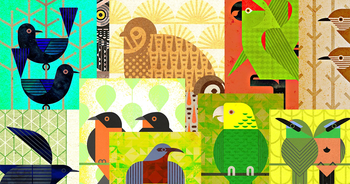 A Guide to the Birdsong of Mexico, Central America and the Caribbean