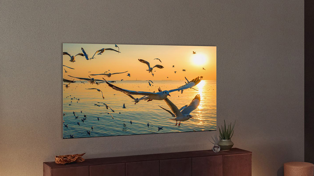 Кадр с летящими над морем чайками на экране QLED-телевизора