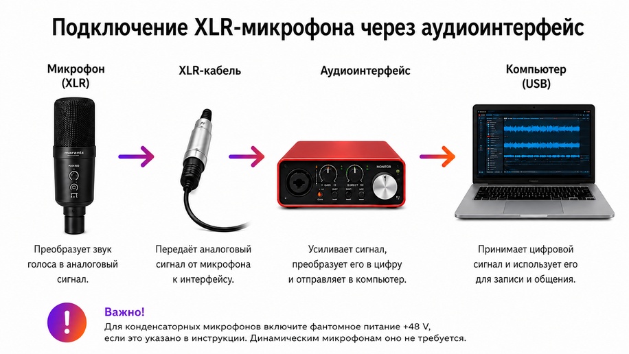 Схема подключения XLR-микрофона через аудиоинтерфейс к компьютеру