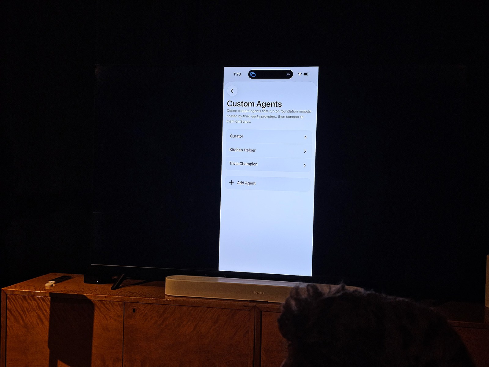 Sonos Custom Agents