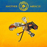 Виниловая пластинка STEVE'N'SEAGULLS - ANOTHER MIRACLE