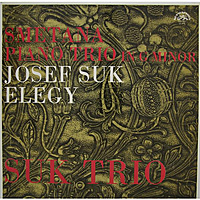 Виниловая пластинка ВИНТАЖ - РАЗНОЕ - SMETANA: PIANO TRIO IN G MANOR; JOSEF SUK: ELEGY (SUK TRIO)