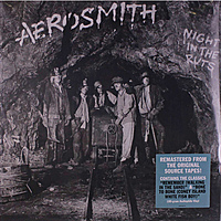 Виниловая пластинка AEROSMITH - NIGHT IN THE RUTS