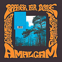 Виниловая пластинка AMALGAM - PRAYER FOR PEACE