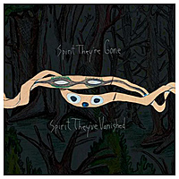 Виниловая пластинка ANIMAL COLLECTIVE - SPIRIT THEY'RE GONE, SPIRIT THEY'VE VANISHED (LIMITED, COLOUR, 2 LP)