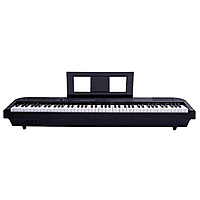 Цифровое пианино Beisite S-198 Pro Lite