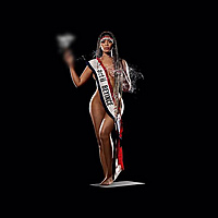 Виниловая пластинка BEYONCE - COWBOY CARTER (LIMITED EDITION, 180GR, 2LP)