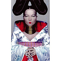 Компакт-кассета BJORK - HOMOGENIC