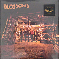 Виниловая пластинка BLOSSOMS - BLOSSOMS