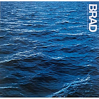 Виниловая пластинка BRAD - IN THE MOMENT THAT YOU'RE BORN (LIMITED, COLOUR)