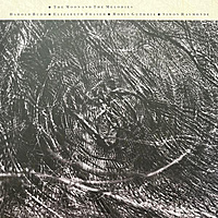 Виниловая пластинка COCTEAU TWINS & HARO - THE MOON & THE MELODIES