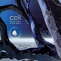 Виниловая пластинка COIL - MUSICK TO PLAY IN THE DARK 2 (2 LP)