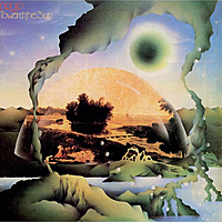 Виниловая пластинка DRUID - TOWARD THE SUN (NUMBERED, COLOUR, 180 GR)