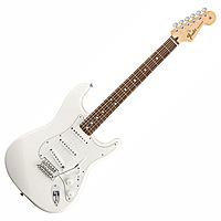 Электрогитара Fender Standard Stratocaster RW