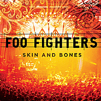 Виниловая пластинка FOO FIGHTERS - SKIN AND BONES (2 LP)
