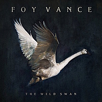 Виниловая пластинка FOY VANCE - THE WILD SWAN (180 GR)
