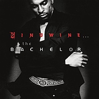 Виниловая пластинка GINUWINE - GINUWINE... THE BACHELOR (2 LP)
