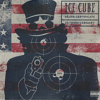 Виниловая пластинка ICE CUBE - DEATH CERTIFICATE (2 LP)