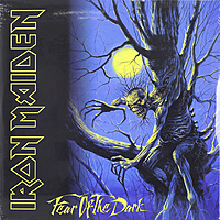 Виниловая пластинка IRON MAIDEN - FEAR OF THE DARK (2 LP, 180 GR)