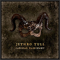 CD-диск JETHRO TULL - CURIOUS RUMINANT (SPECIAL EDITION)