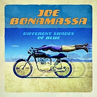 Виниловая пластинка JOE BONAMASSA - DIFFERENT SHADES OF BLUE