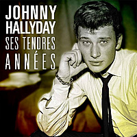 Виниловая пластинка JOHNNY HALLYDAY - SES TENDRES ANNEES