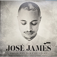 Виниловая пластинка JOSE JAMES - WHILE YOU WERE SLEEPING (2 LP)