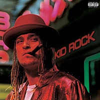 Виниловая пластинка KID ROCK - DEVIL WITHOUT A CAUSE (2 LP, COLOUR)