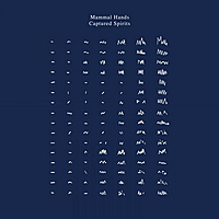 Виниловая пластинка MAMMAL HANDS - CAPTURED SPIRITS (2 LP)