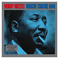 Виниловая пластинка MUDDY WATERS - HOOCHIE COOCHIE MAN (2 LP)