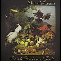 Виниловая пластинка PROCOL HARUM - EXOTIC BIRDS AND FRUIT (2 LP, COLOUR)