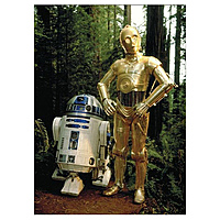 Магнит Star Wars - C-3PO & RC-D2