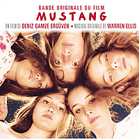 Виниловая пластинка WARREN ELLIS - MUSTANG (OST) (180 GR)