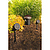 Всепогодная акустика MartinLogan Outdoor Living Foundation 8.1 System