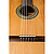 Классическая гитара Perez 600