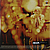 Виниловая пластинка STEAMHAMMER - STEAMHAMMER (180 GR)