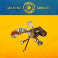 Виниловая пластинка STEVE'N'SEAGULLS - ANOTHER MIRACLE