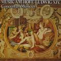 Виниловая пластинка ВИНТАЖ - РАЗНОЕ - MUSIK AM HOFE LUDWIG XIV (CONCENTUS MUSICUS)