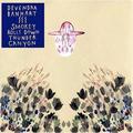Виниловая пластинка BANHART DEVENDRA - SMOKEY ROLLS DOWN THUNDER CANYON (2 LP)