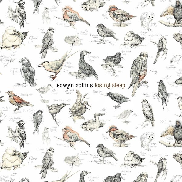 Edwyn Collins Edwyn Collins - Losing Sleep (2 LP)