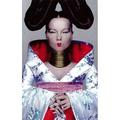 Компакт-кассета BJORK - HOMOGENIC