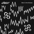 CD-диск CHEMICAL BROTHERS - BORN IN THE ECHOES