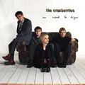 Виниловая пластинка CRANBERRIES - NO NEED TO ARGUE (2 LP)