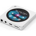 FiiO Snowsky Disc