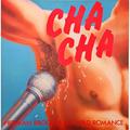 Винтажная виниловая пластинка HERMAN BROOD & HIS WILD ROMANCE - CHA CHA