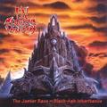 Виниловая пластинка IN FLAMES - THE JESTER RACE (REISSUE, REMASTERED, COLOUR)