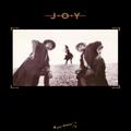 Виниловая пластинка JOY - JOY